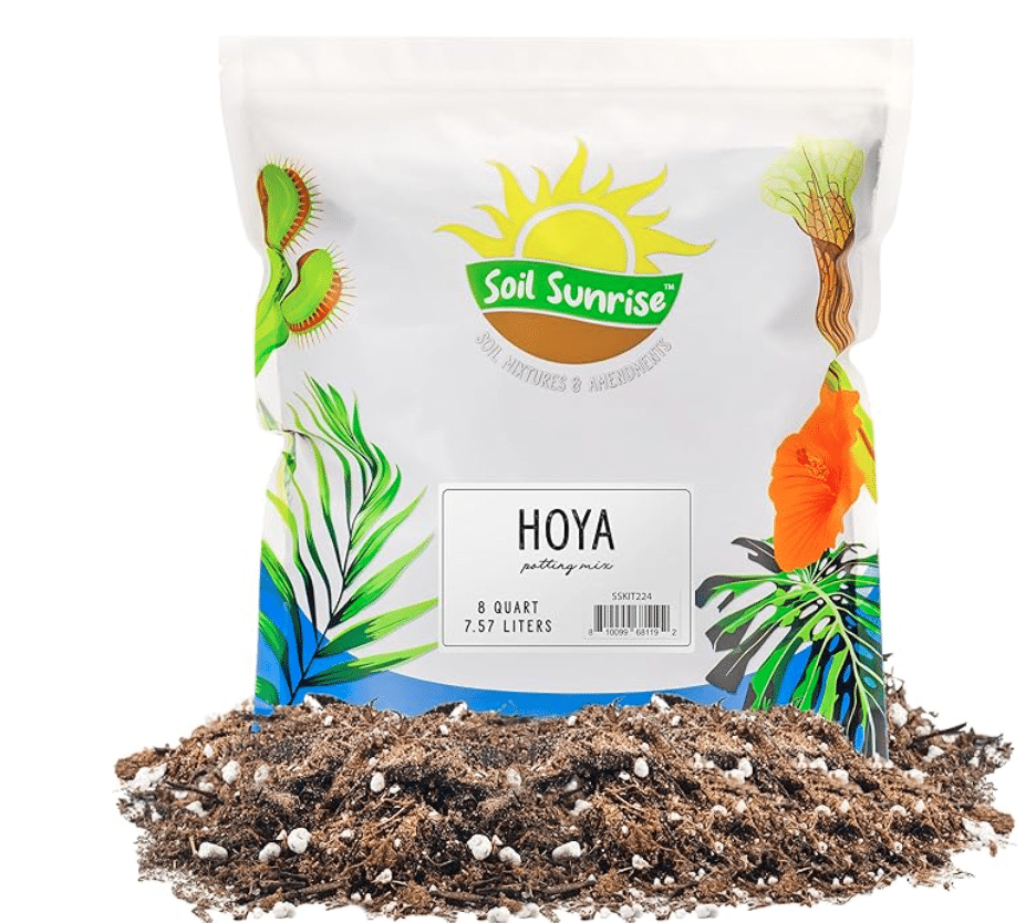 soil sunrise hoya mix